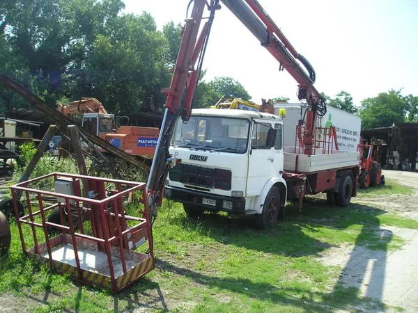Benelligru P20