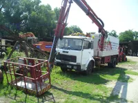 Benelligru P20