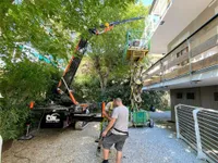 BG Lift M400