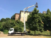 Cela DT 28