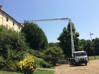Cela DT 28