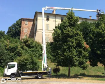 Cela DT Truck 28