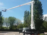 Cela DT40