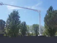Cela DT40