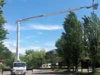 Cela DT40