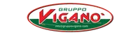 Logo Gruppo Viganò Snc